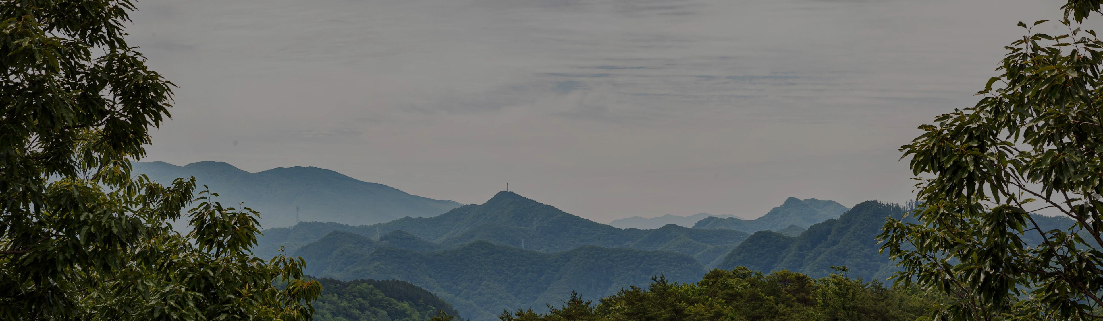 새로운 문화유산을 함께 경험할 분을 모십니다